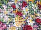 IMG-20250920-WA0001