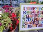 IMG-20250920-WA0002